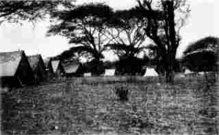 [Photograph: Our Camp Down on the Tana]
