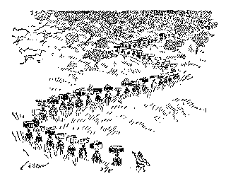 [Drawing: Our Safari on the March]