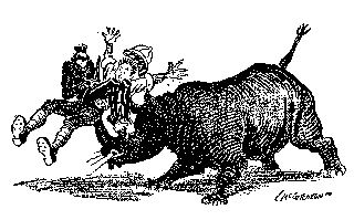 [Drawing: Popular Conception of Rhino]