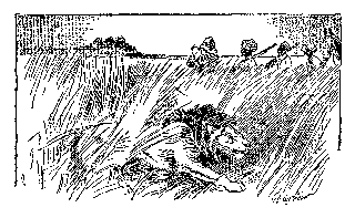 [Drawing: Lion Hunting in Tall Grass]
