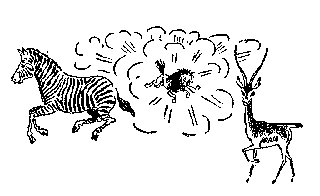 [Drawing: Zebra, Wildebeest and Gazelle (Wildebeest in Middle)]