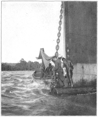 A Log of Mahogany Jammed in the Anchor Chains.