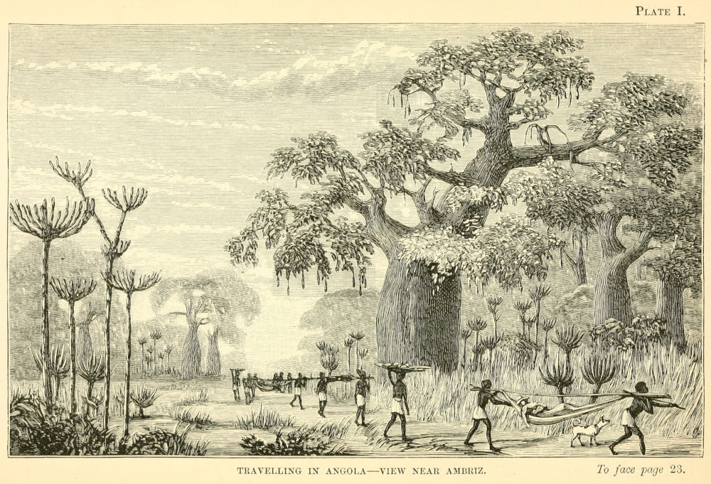 Plate I - Traveling in Angola