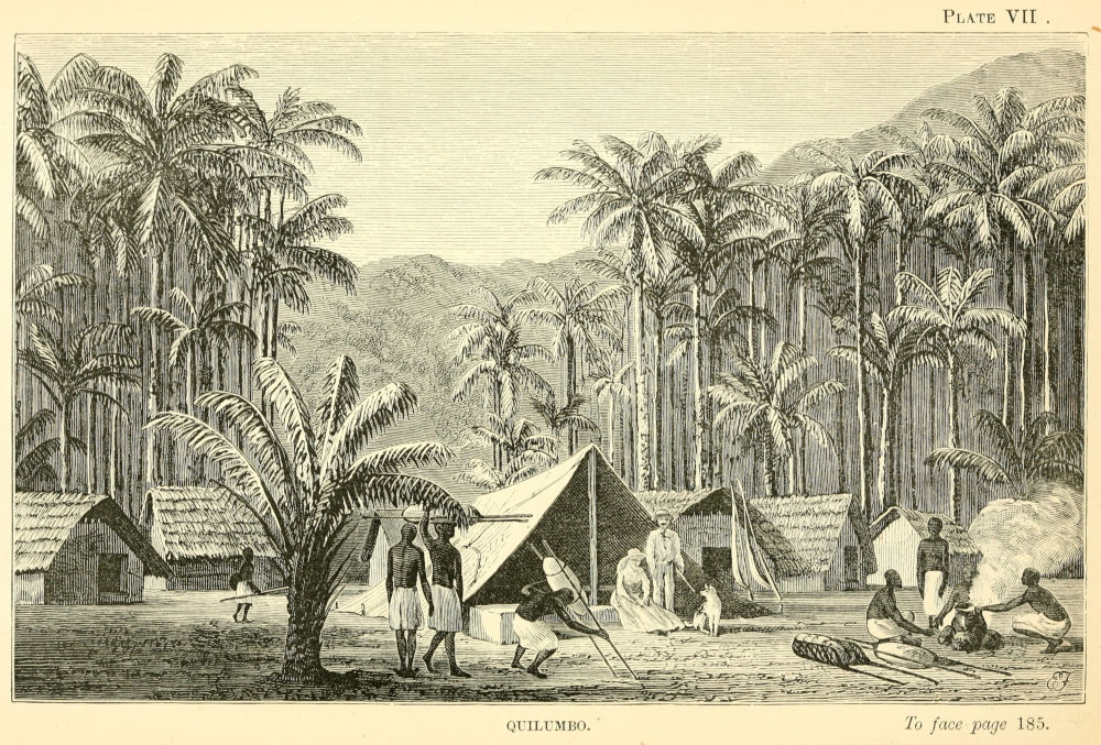 Plate VII-QUILUMBO