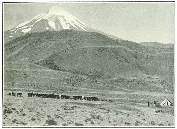 Fig. 32. Our Encampment at Sardar Bulakh.