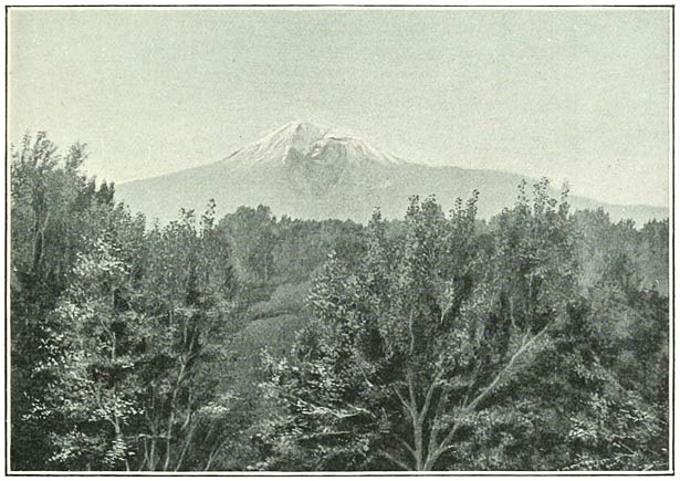 Fig. 40. Ararat from a house-top in Erivan.