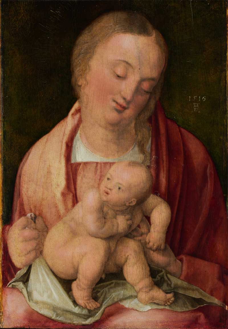 Virgin and Child. Albrecht Dürer