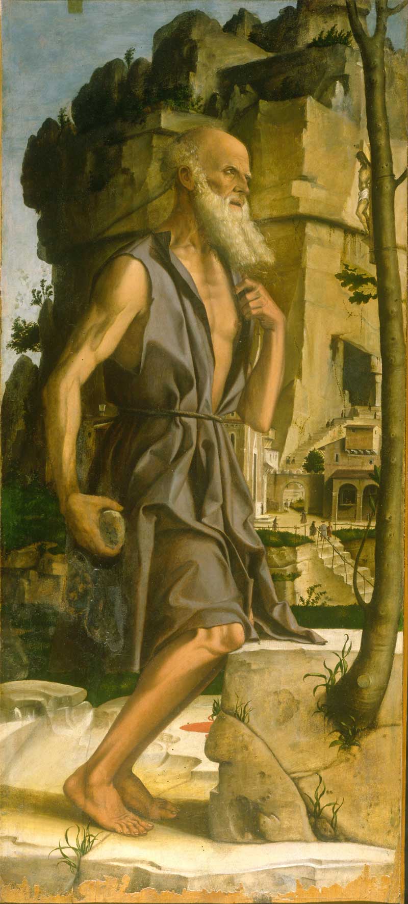 Saint Jerome. Bartolomeo Montagna