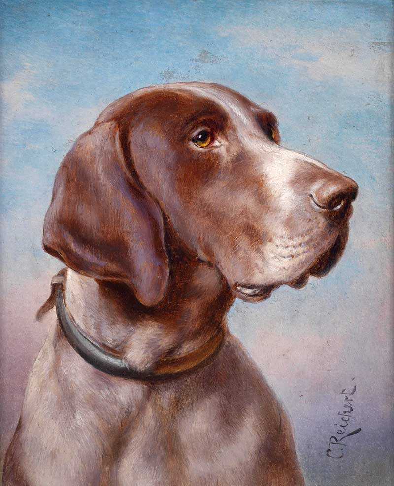Dog Portrait. Carl Reichert
