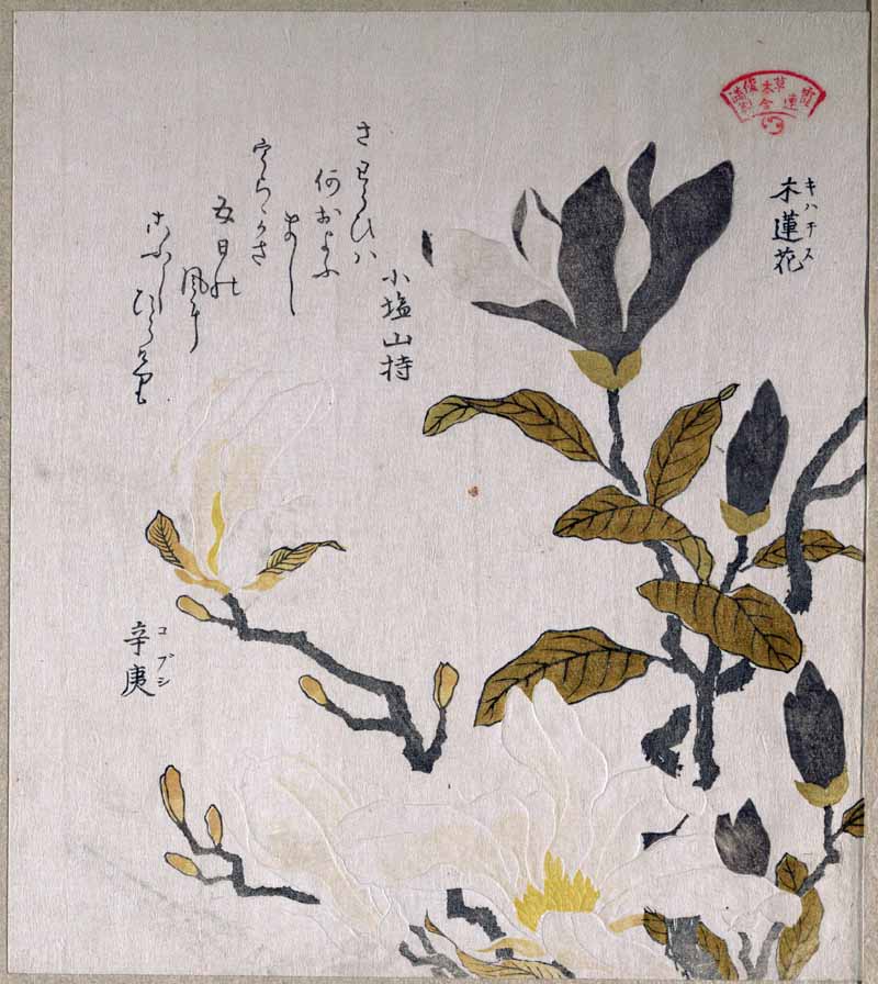 Magnolia Flowers, Kubo Shunman