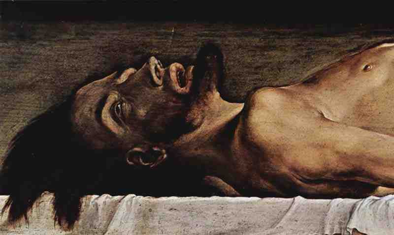 Altarpiece of Hans Oberried for the cathedral of Freiburg, predella: Dead Christ, detail. Hans Holbein the Younger