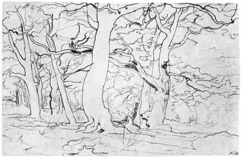 Forest landscape with large gnarled trees. Franz Theobald Horny