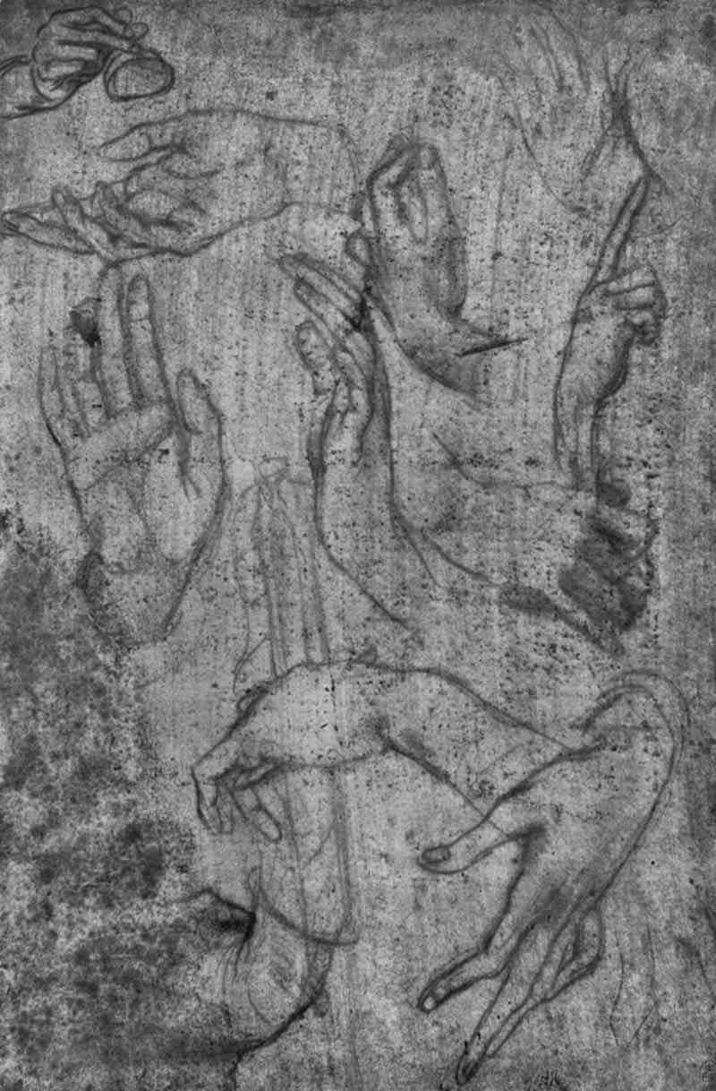 Hand studies, Leonardo da Vinci