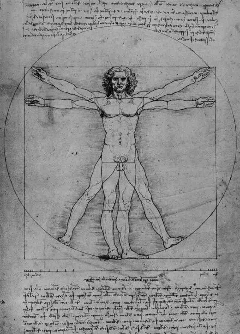 Vitruvian Human Skeleton Man Stock Illustration - Illustration of body,  anatomy: 25073038