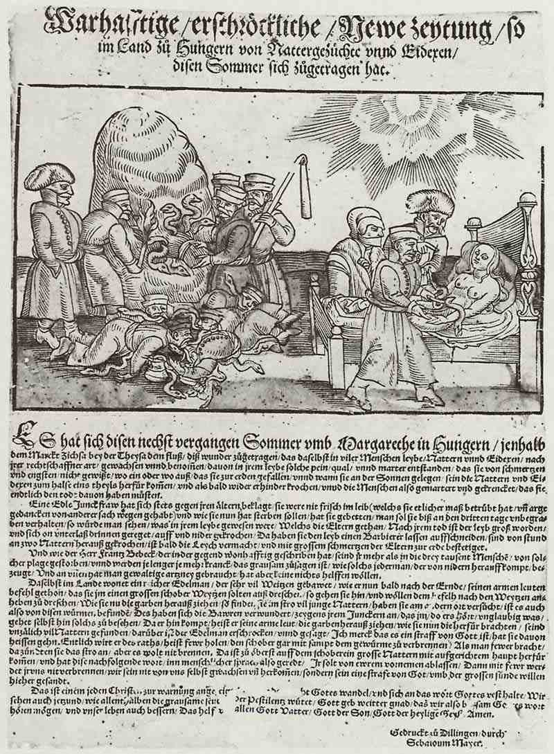 Snakes and lizards plague in Hungary in the summer of 1551. Sebald Mayer