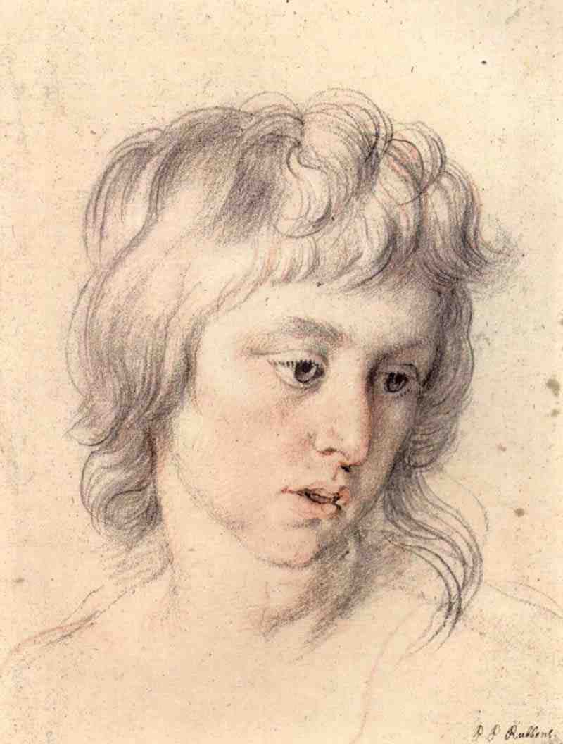 Portrait of the son of Baltehasar Gerbriers, Peter Paul Rubens