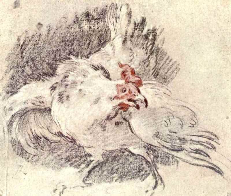Study of a rooster, Francois Boucher