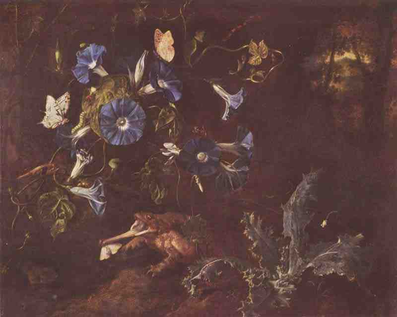 Blue Morning Glory, Toad and insects. Otto van Marseus Schrieck