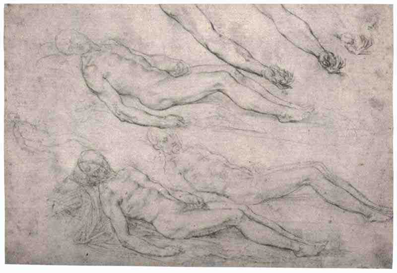 Studies for a body of Christ. Sebastiano del Piombo