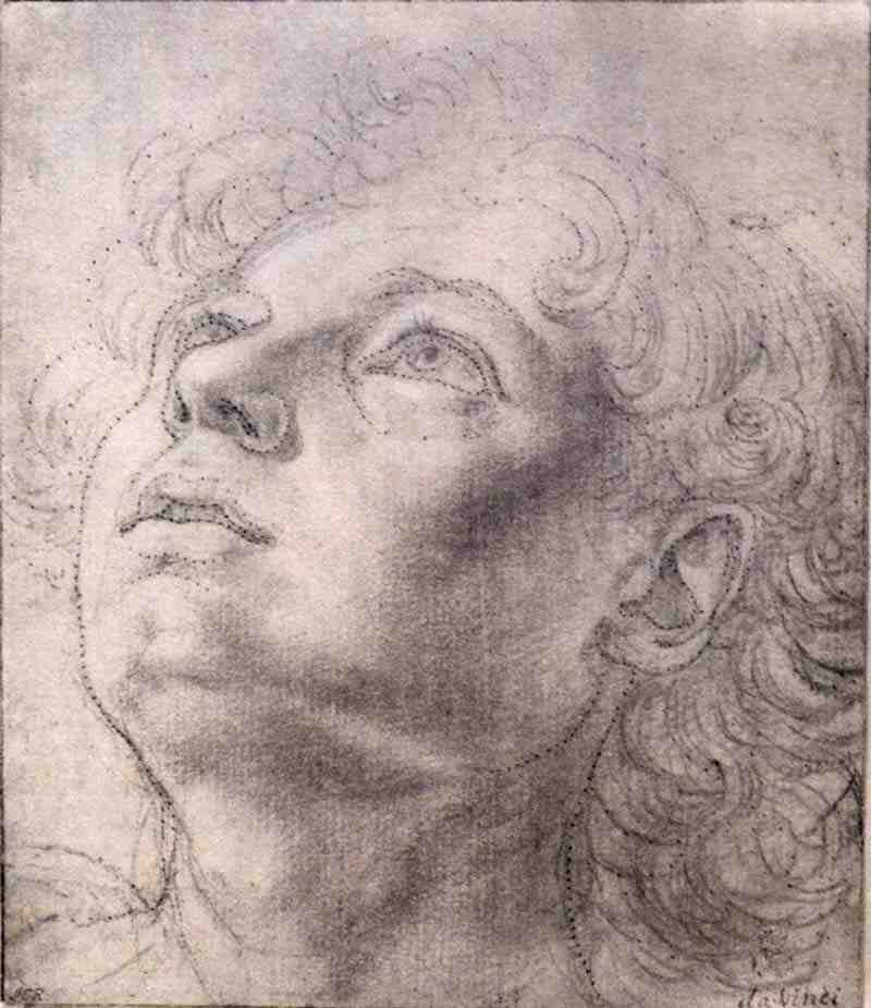 Angel's head. Andrea del Verrocchio