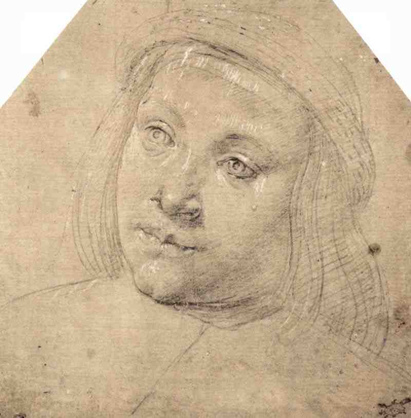 Portrait of a boy, Lorenzo di Credi