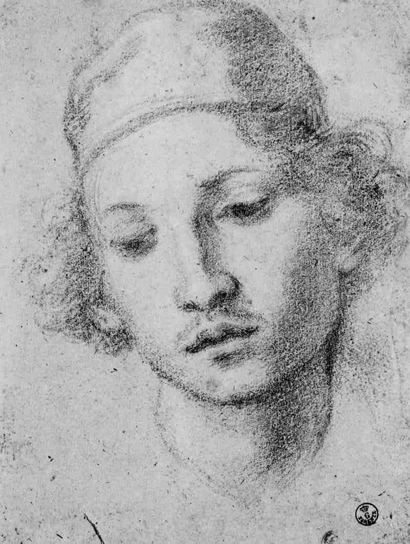 Head of a young man. Francesco Curradi