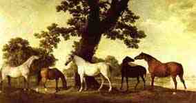 George Stubbs