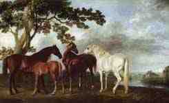 George Stubbs