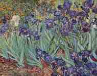 Still Life with Irises</a>, Vincent Willem van Gogh
