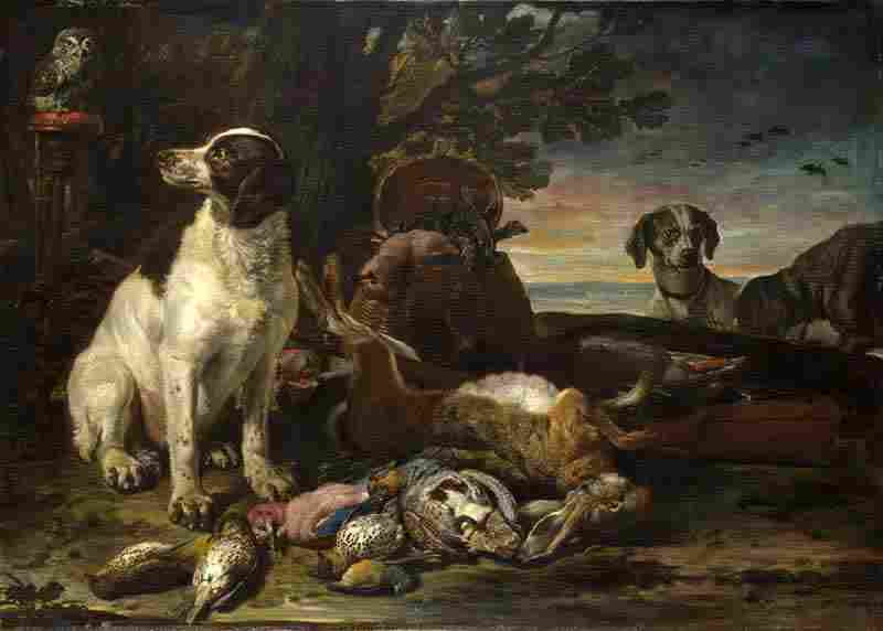 Dead Birds and Game with Gun Dogs and a Little Owl. David de Coninck