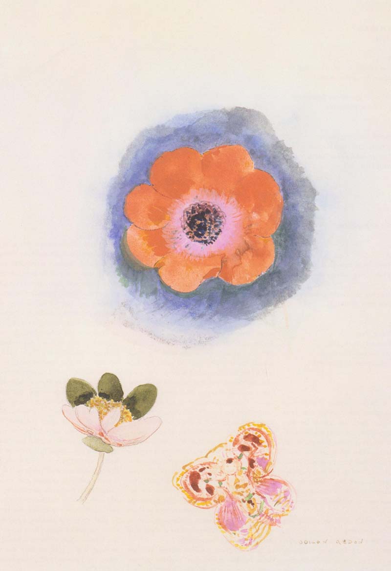 Study of Flower and Papillion, Odilon Redon