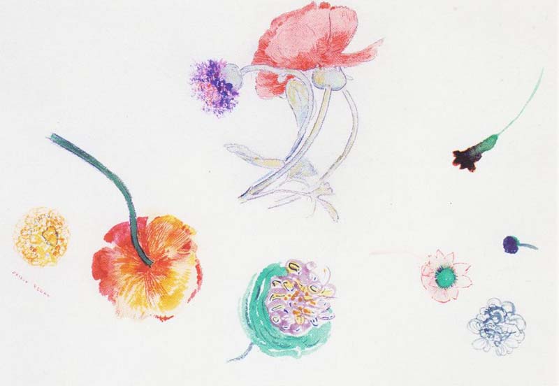 Study of Flowers, Odilon Redon