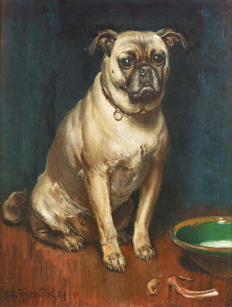 A Pug. Vilhelm Rosenstand