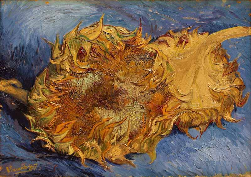 Sunflowers , Vincent van Gogh