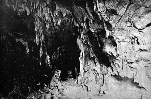 THE LUCAS CAVE