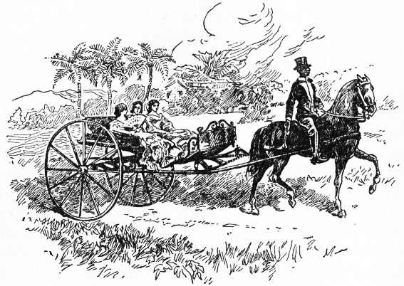 A VOLANTE: AN OLD TIME PLEASURE CARRIAGE