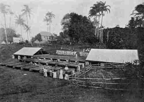 DRYING TRAYS, GRENADA. The trays slide on rails. The corrugated iron roofs will slide over the whole to protect from rain.
