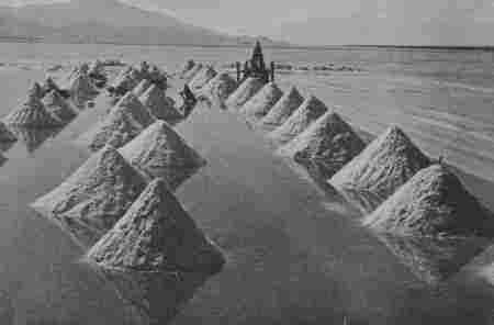 Fig. 31.—Harvesting Salt, Salton, California. Is there any Water in this Field?