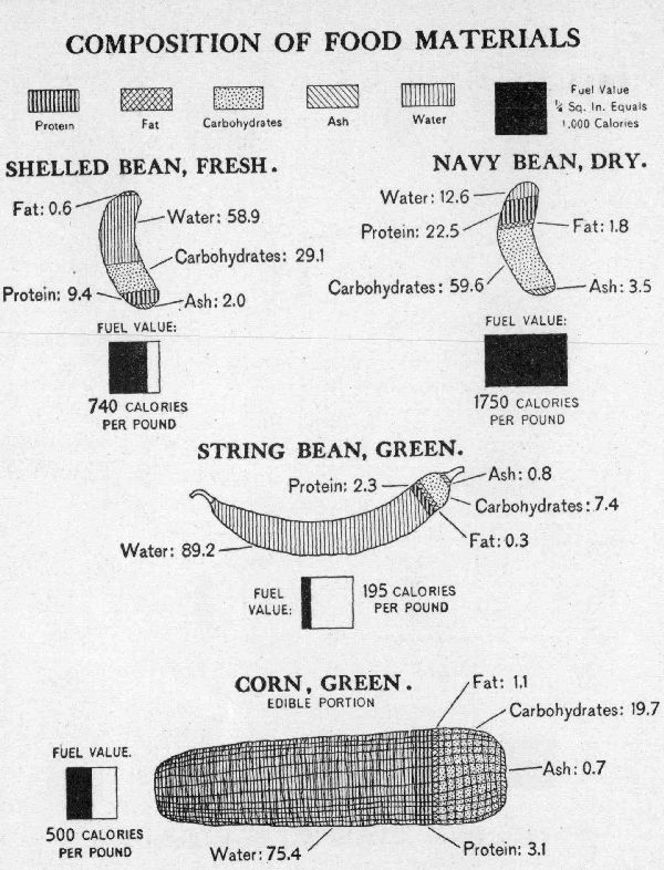 [Illustration: Composition of food materials]