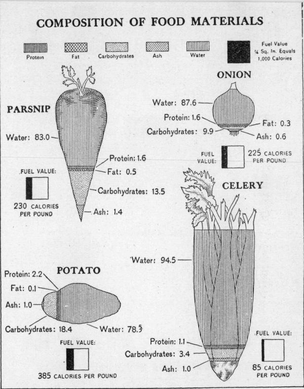 [Illustration: Composition of food materials]