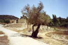 Choirokoitia, Cyprus
