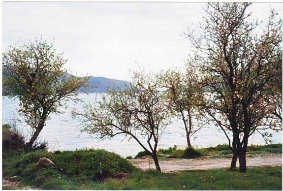 Τεχνητή λίμνη Κούρη