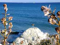 Governor's Beach, Limassol