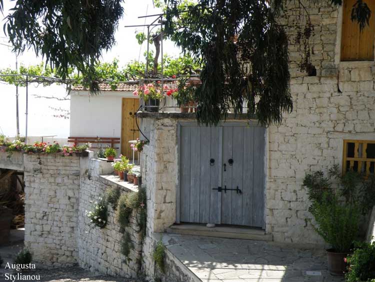 Trachypedoula, Zypern
