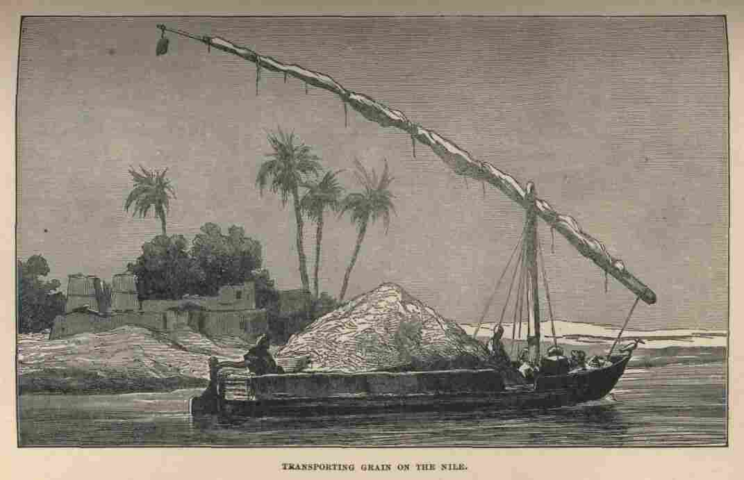 019.jpg Transporting Grain on the Nile 