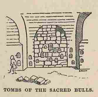 052.jpg Tombs of the Sacred Bulls 