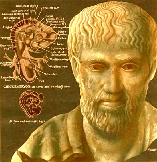 Aristotle's Biology and Medicine, discoveries and opinions