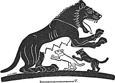 Fig. 1. Lioness and young from an Ionian vase of the sixth century B. C. found at Caere in Southern Etruria (Louvre, Salle E, No. 298), from Le Dessin des Animaux en Grèce d’après les vases peints, by J. Morin, Paris (Renouard), 1911. The animal is drawing itself up to attack its hunters. The scanty mane, the form of the paws, the udders, and the dentition are all heavily though accurately represented.
