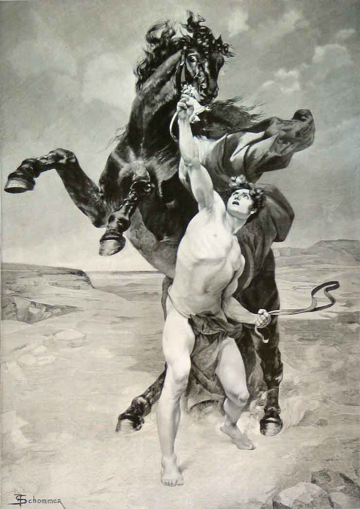 Alexander taming Bucephalus by F. Schommer