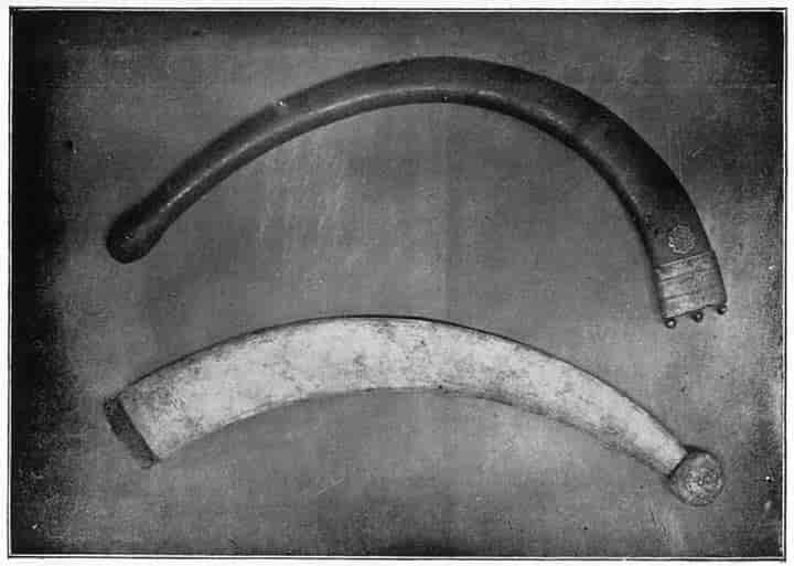 South Indian boomerangs.
